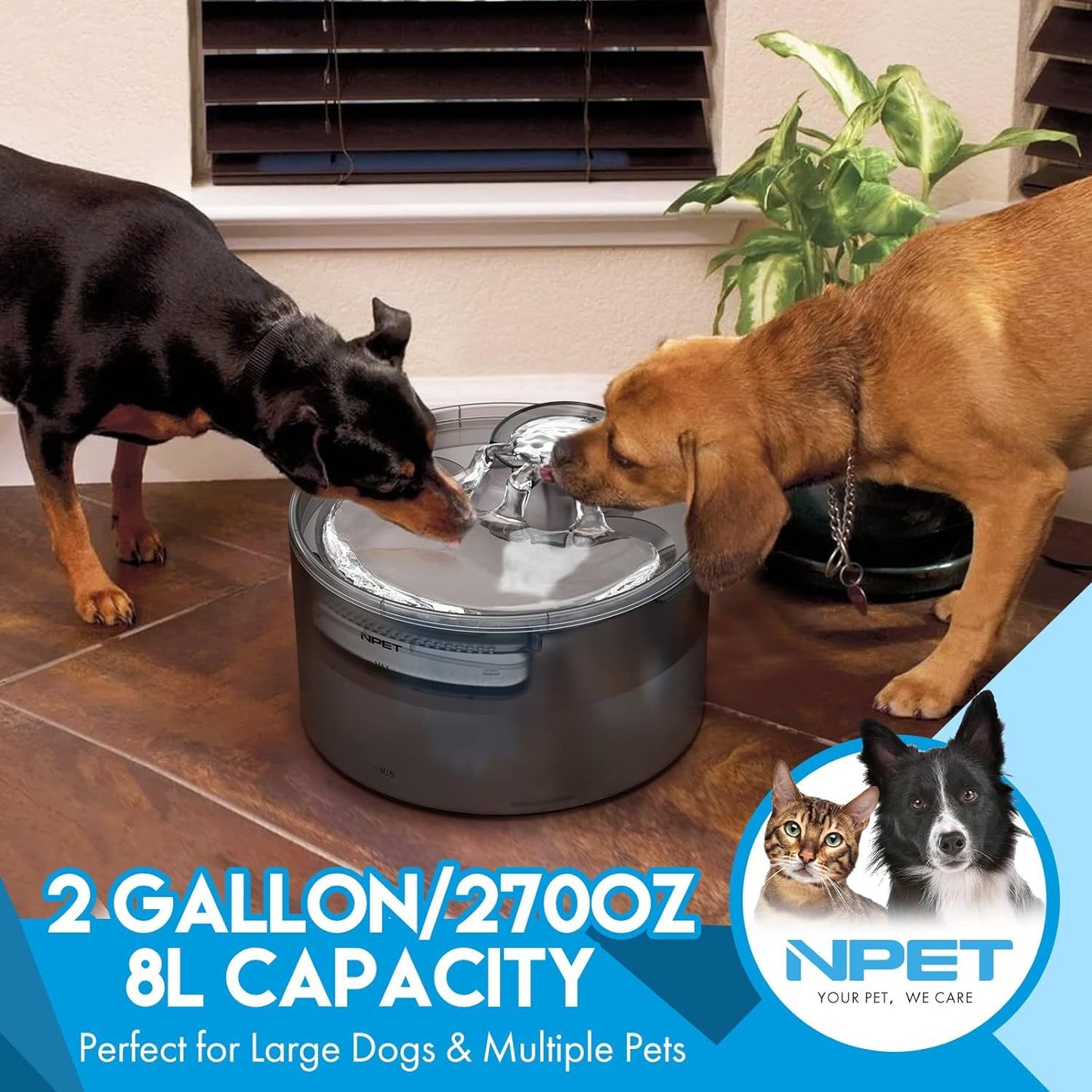 Pet Water Fountain with Splatter Guard