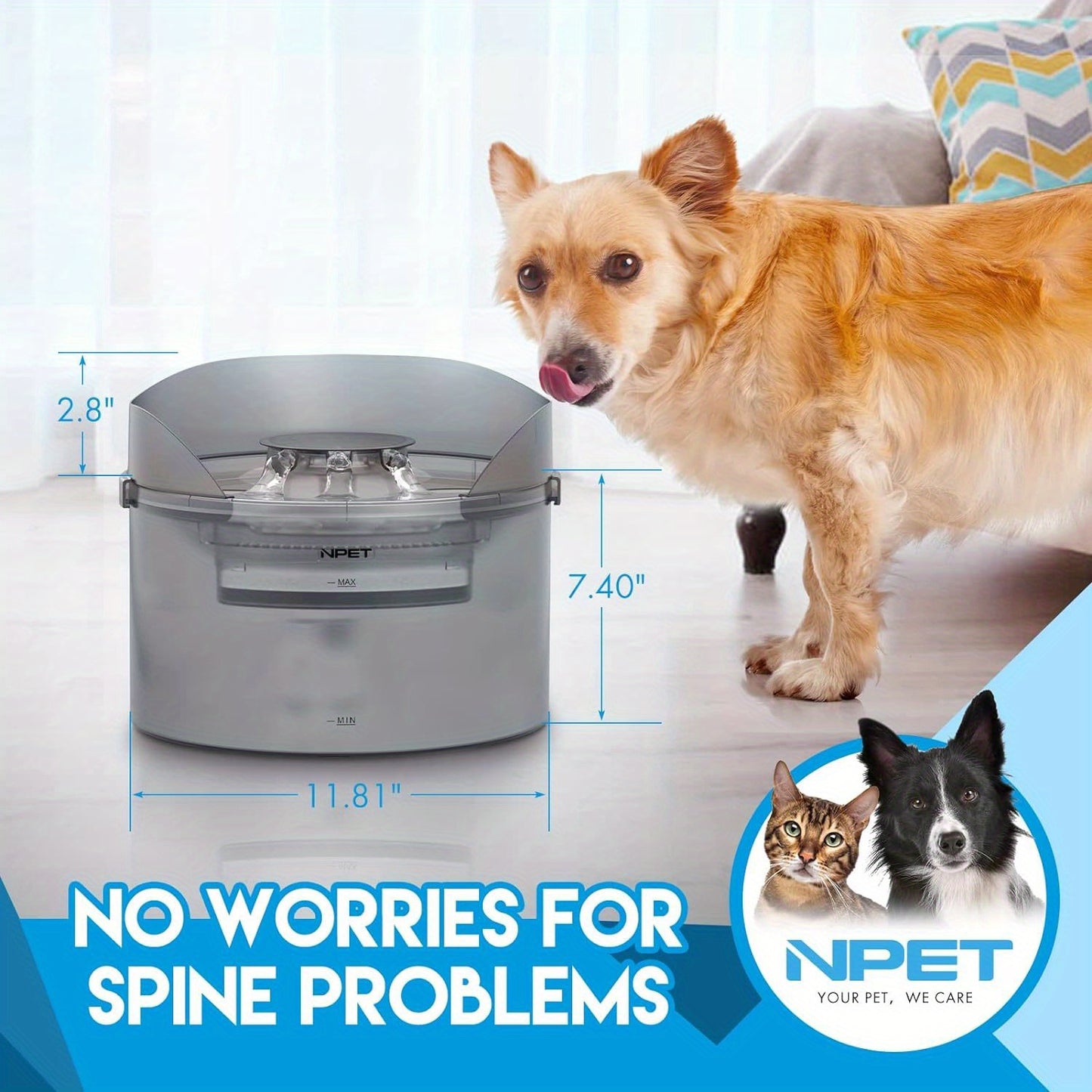 Pet Water Fountain with Splatter Guard