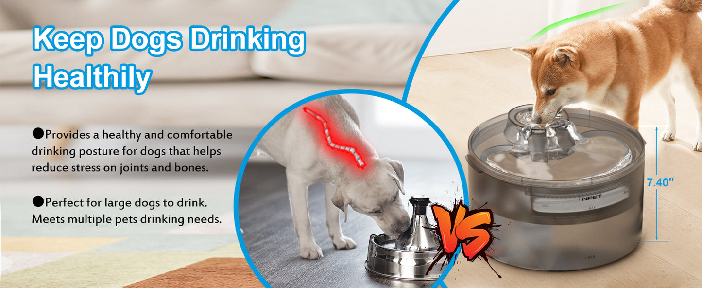 Pet Water Fountain with Splatter Guard