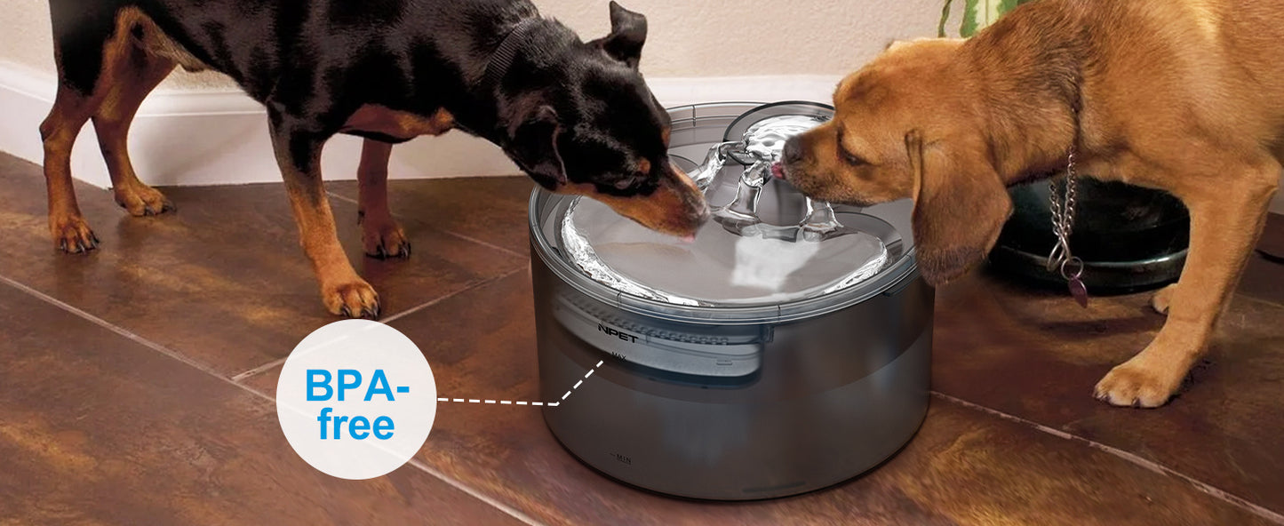 Pet Water Fountain with Splatter Guard
