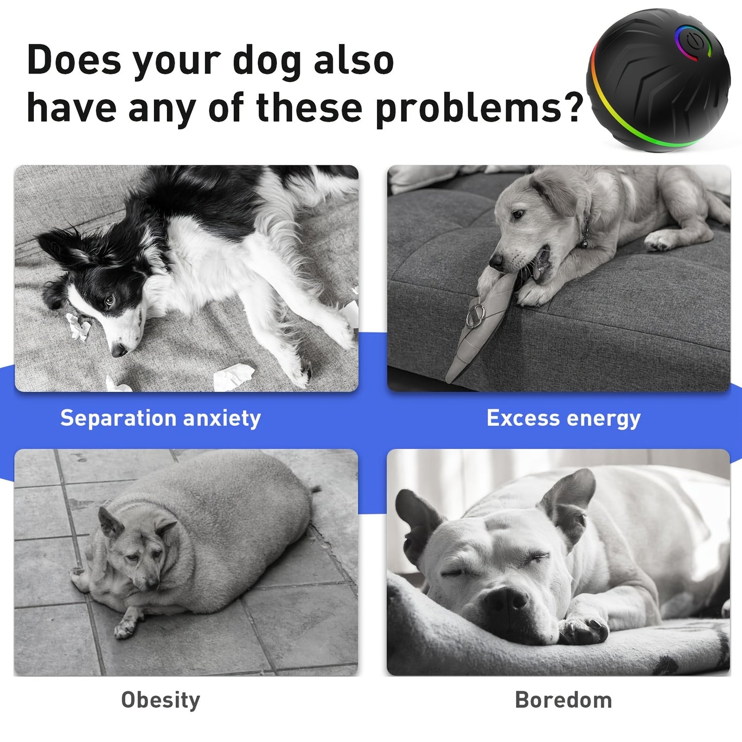 Interactive Dog Toy Ball