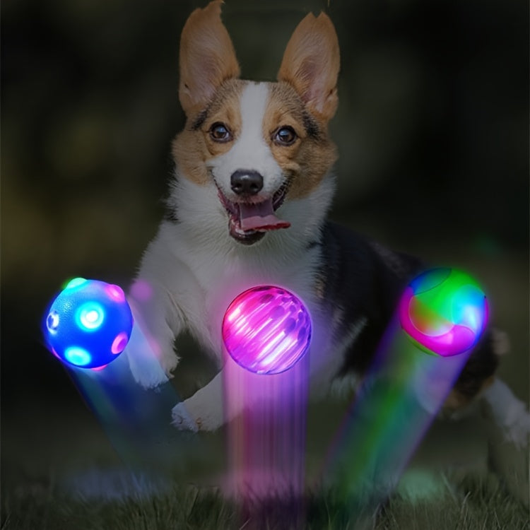 Flashing Dog Training Toy Ball