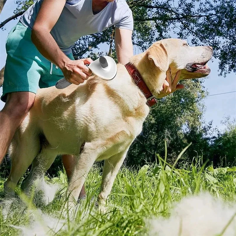 Pet Dog Brush Cat
