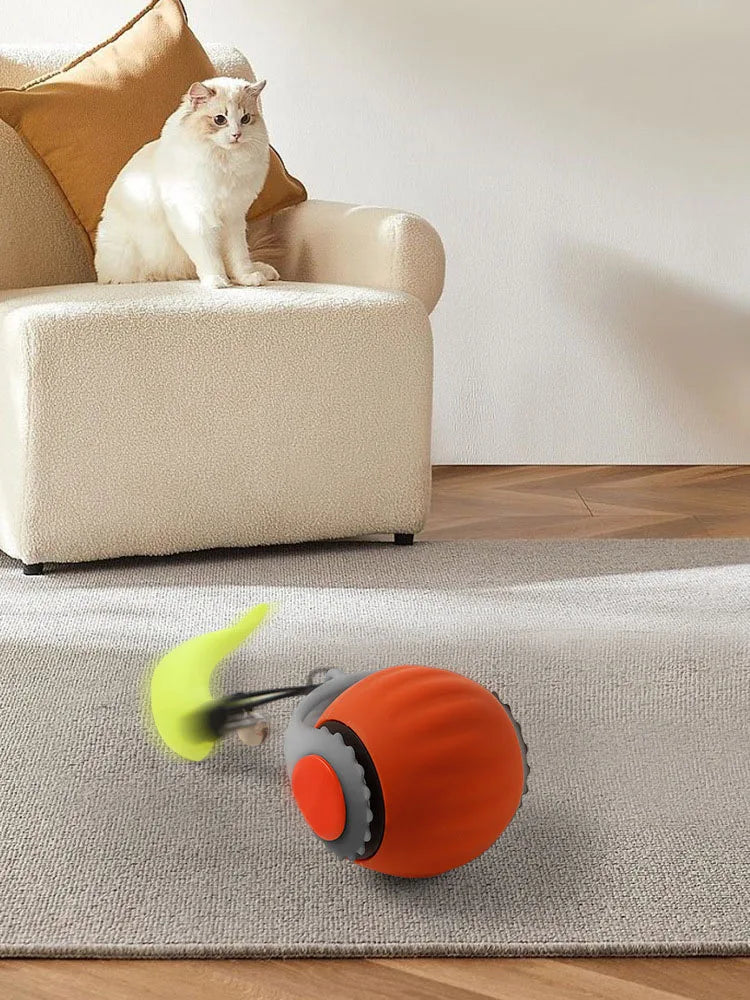cat toy ball electric