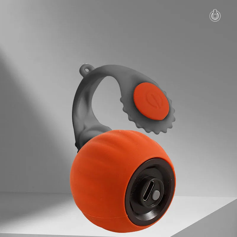 cat toy ball electric