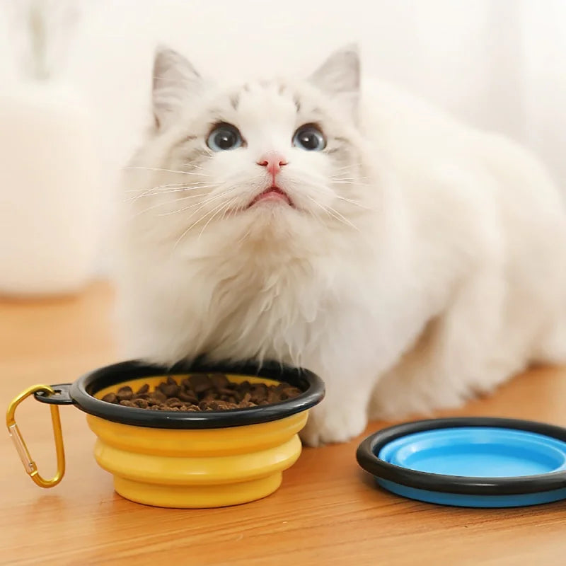 New 350ml Folding Bowl With Keychain Pet