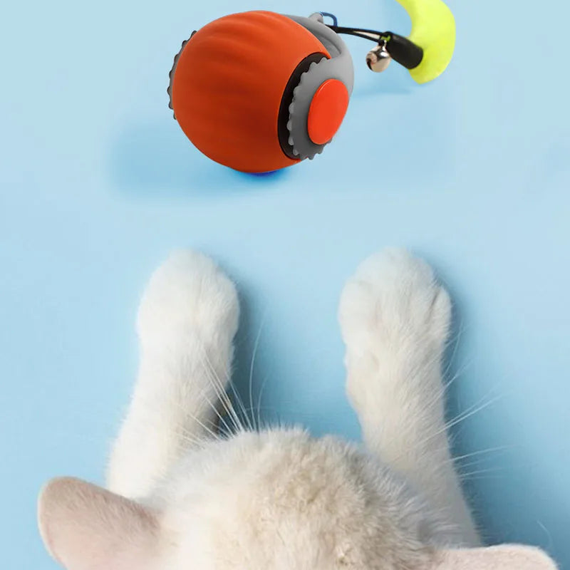 cat toy ball electric