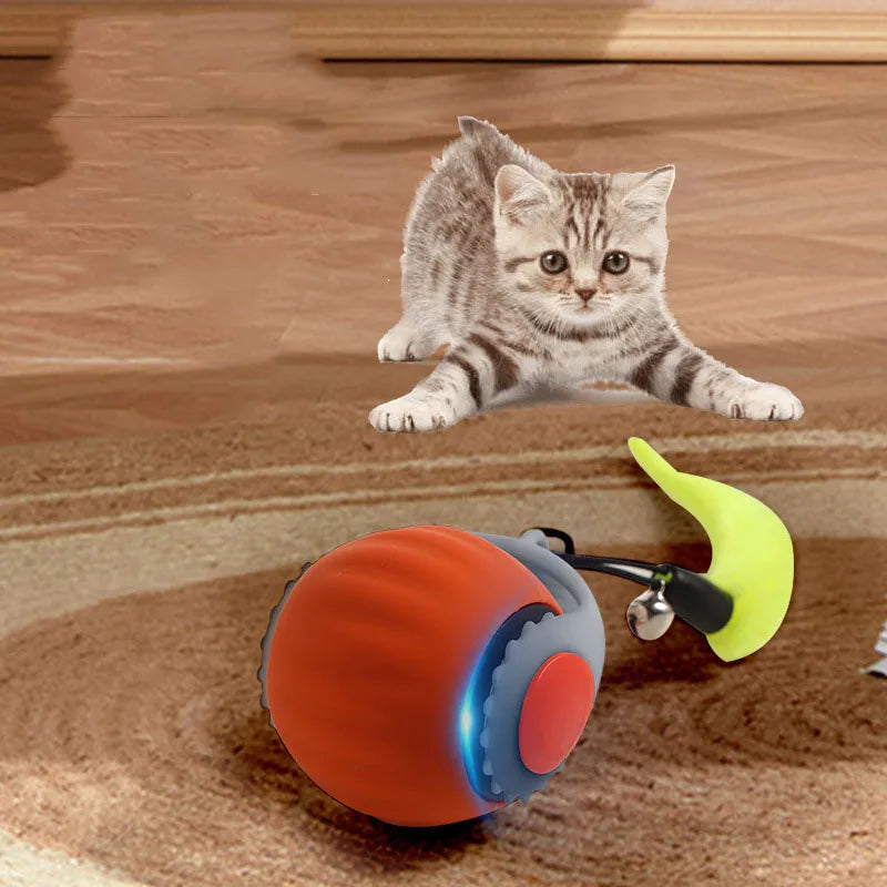 cat toy ball electric