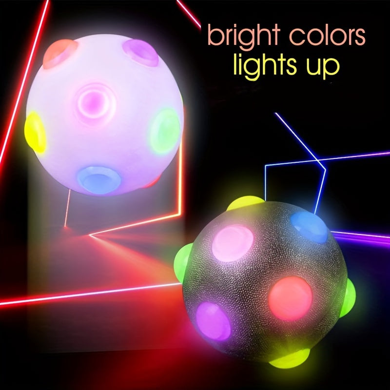 Flashing Dog Training Toy Ball