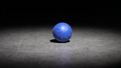 Interactive Dog Toy Ball