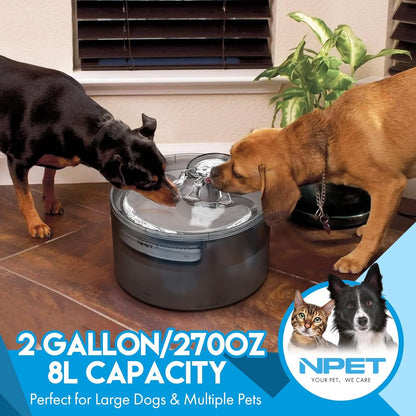 Pet Water Fountain with Splatter Guard