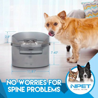 Pet Water Fountain with Splatter Guard