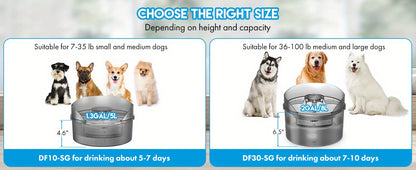 Pet Water Fountain with Splatter Guard
