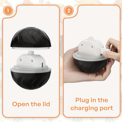 Interactive Dog Toy Ball