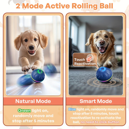 Interactive Dog Toy Ball