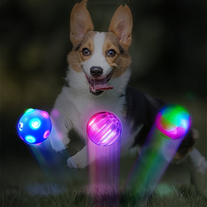 Flashing Dog Training Toy Ball