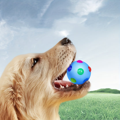 Flashing Dog Training Toy Ball