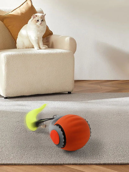 cat toy ball electric