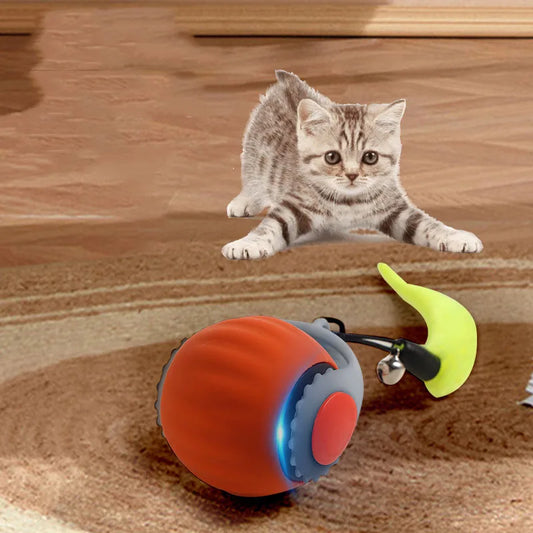 cat toy ball electric