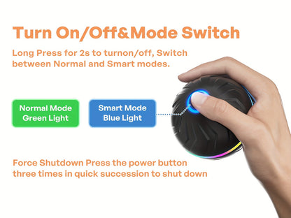 Interactive Dog Toy Ball